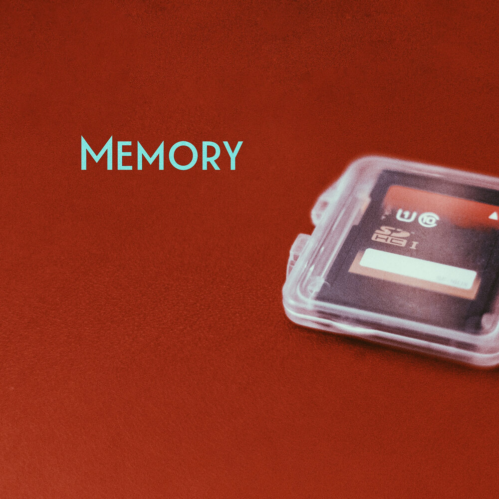 Memory t c