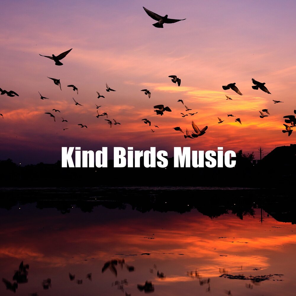 Kind birds