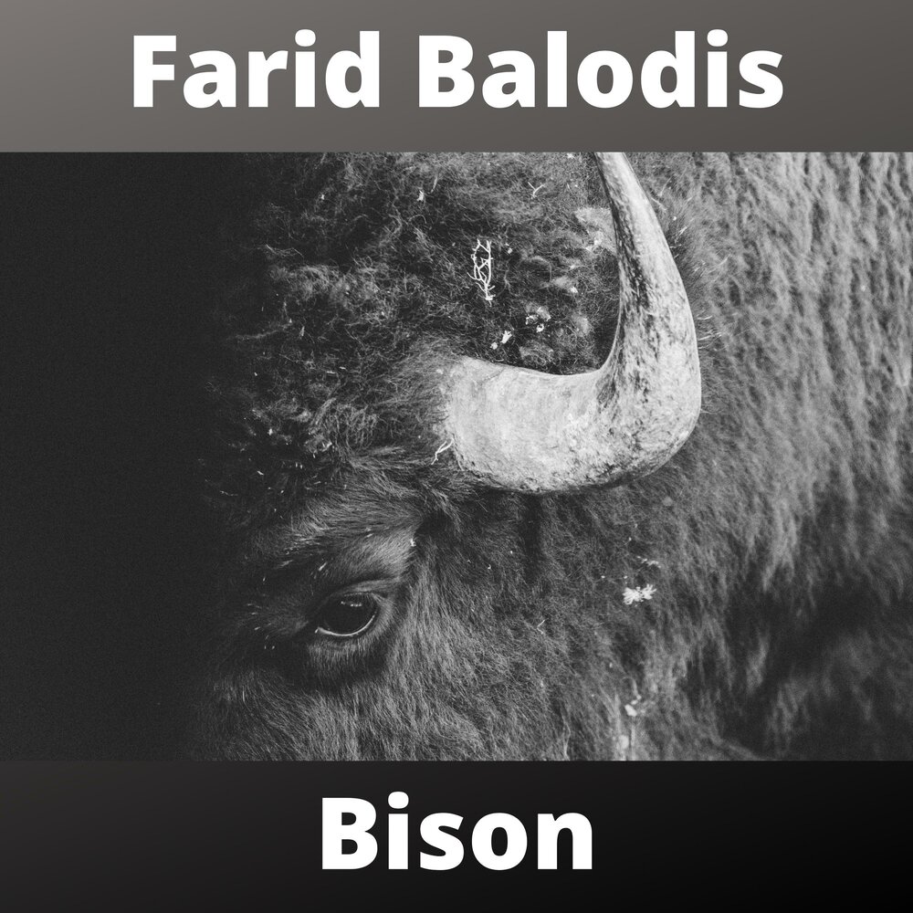 Love bison. Бизон голд. Надпись бизон. Love bison. Asunder.