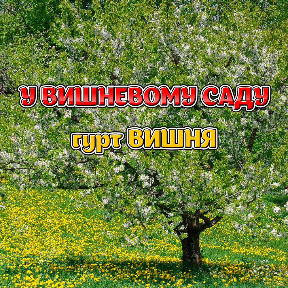 Песня вишневый сад слушать. Ой у вишневому саду. Вишневый сад. Ой у вишневому саду на украинском языке. Песня Ой у вишневому саду.