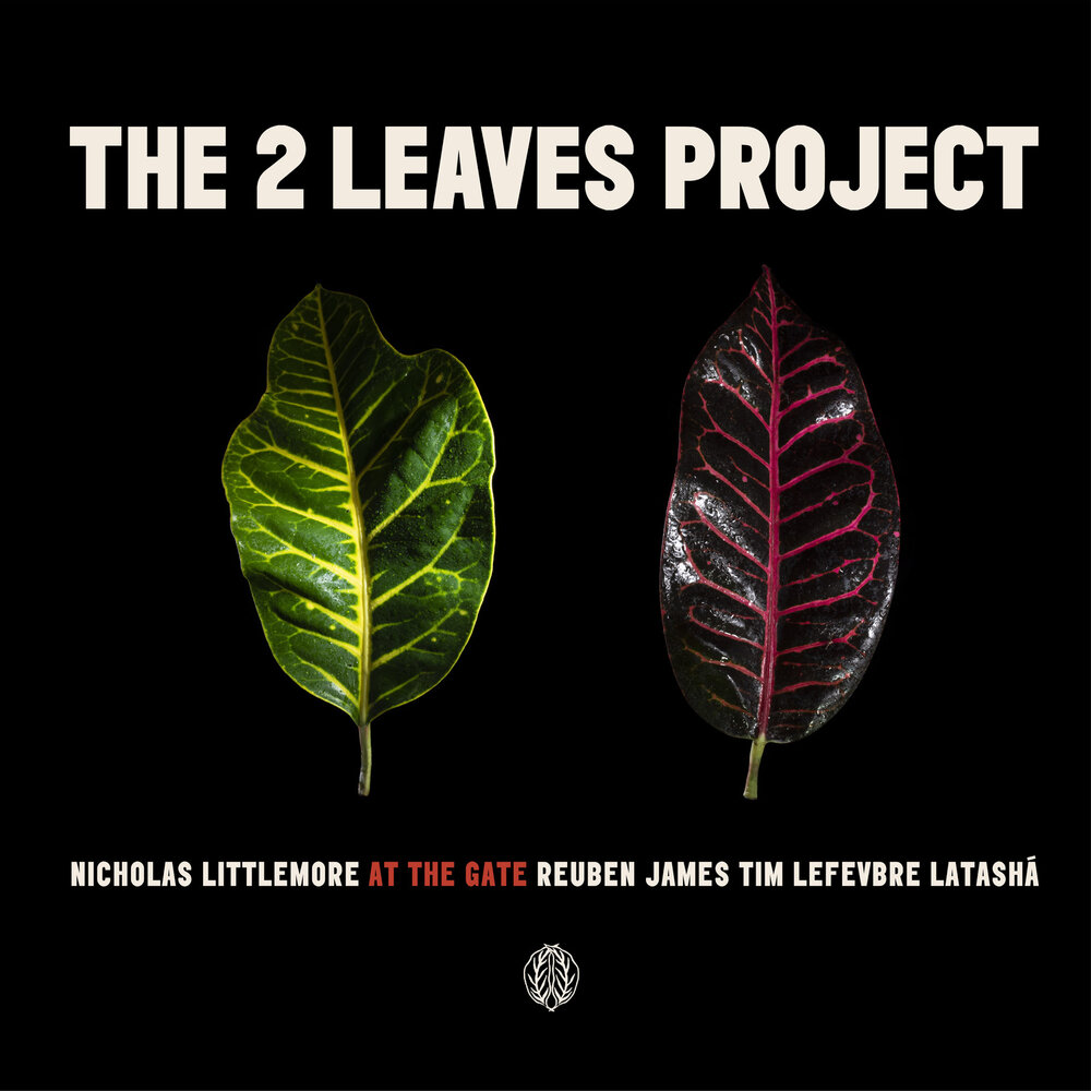 Leaves Project. Two Leaf realistic.