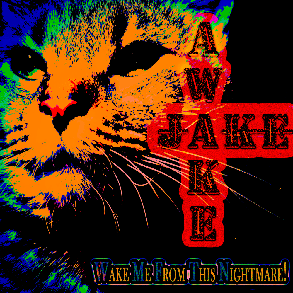 Wide awake hat. Until i awake. Awake me up. Awake me up. Up lyrics.