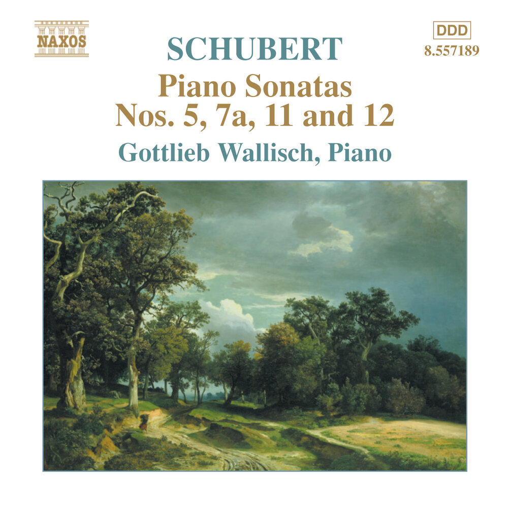 Шуберт фортепиано слушать. Schubert Franz fragments. Шуберт Соната 5.