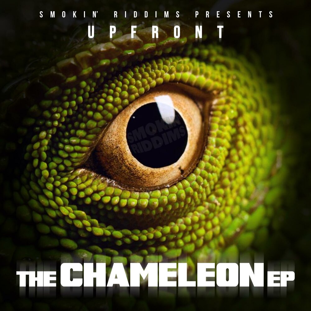 Хамелеон аудиокнига слушать. Афиша хамелеон. Хамелеон зомби. Хамелеон брызги. Find Chameleon.