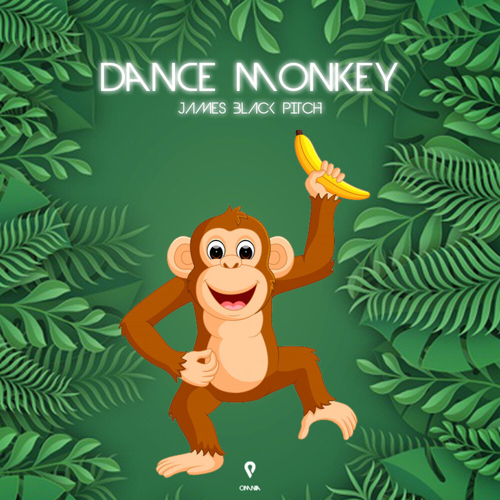 Dance monkey фото