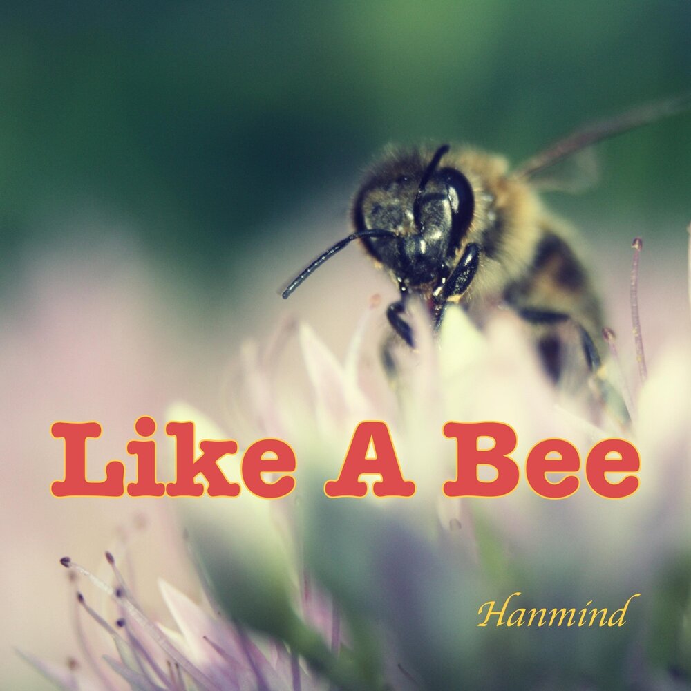 Is like a bee. Bee like. Hum like a Bee. You are a Bee. Working hard like a Bee.