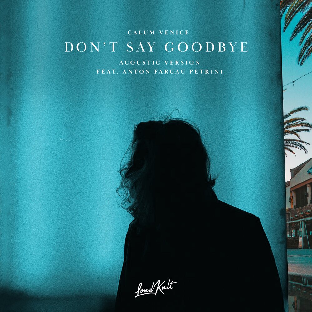 Песня don't say Goodbye. Say Goodbye.