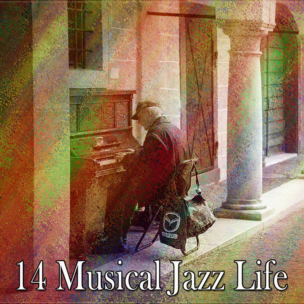 Bob dylan bringing it all back home. Bringing back home. Bob dylan bringing it all back home. Bringing back home. Dylan bringing it all back home.