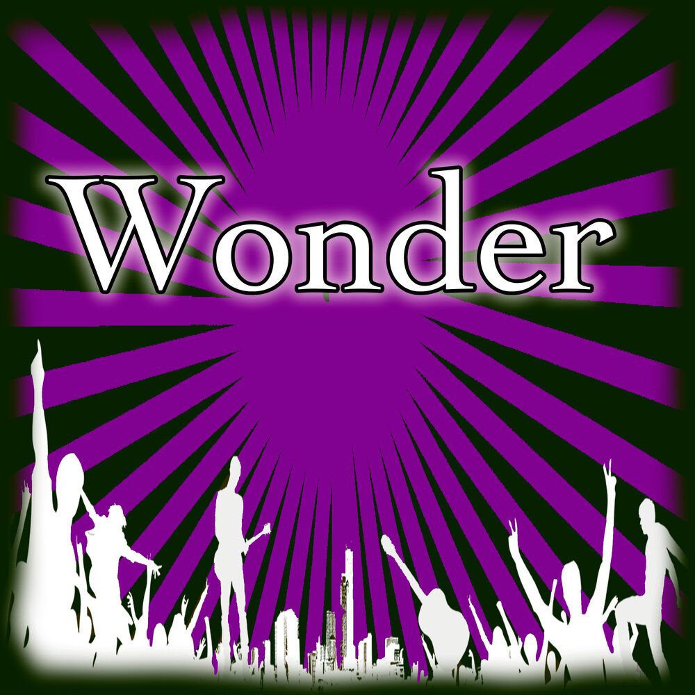 Wonder records