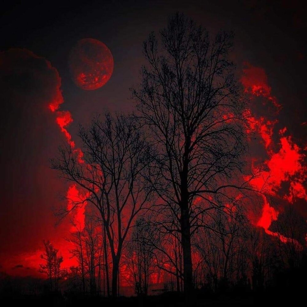 Есть кровавая ночь. Кровавая Луна явление. Красная Кровавая Луна. Ночь красная Луна. Красное ночное небо.
