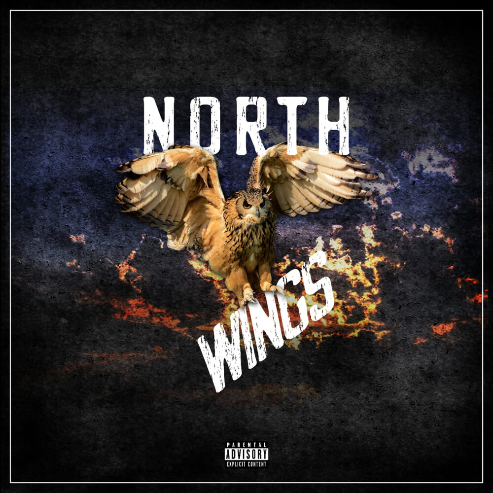 N wings