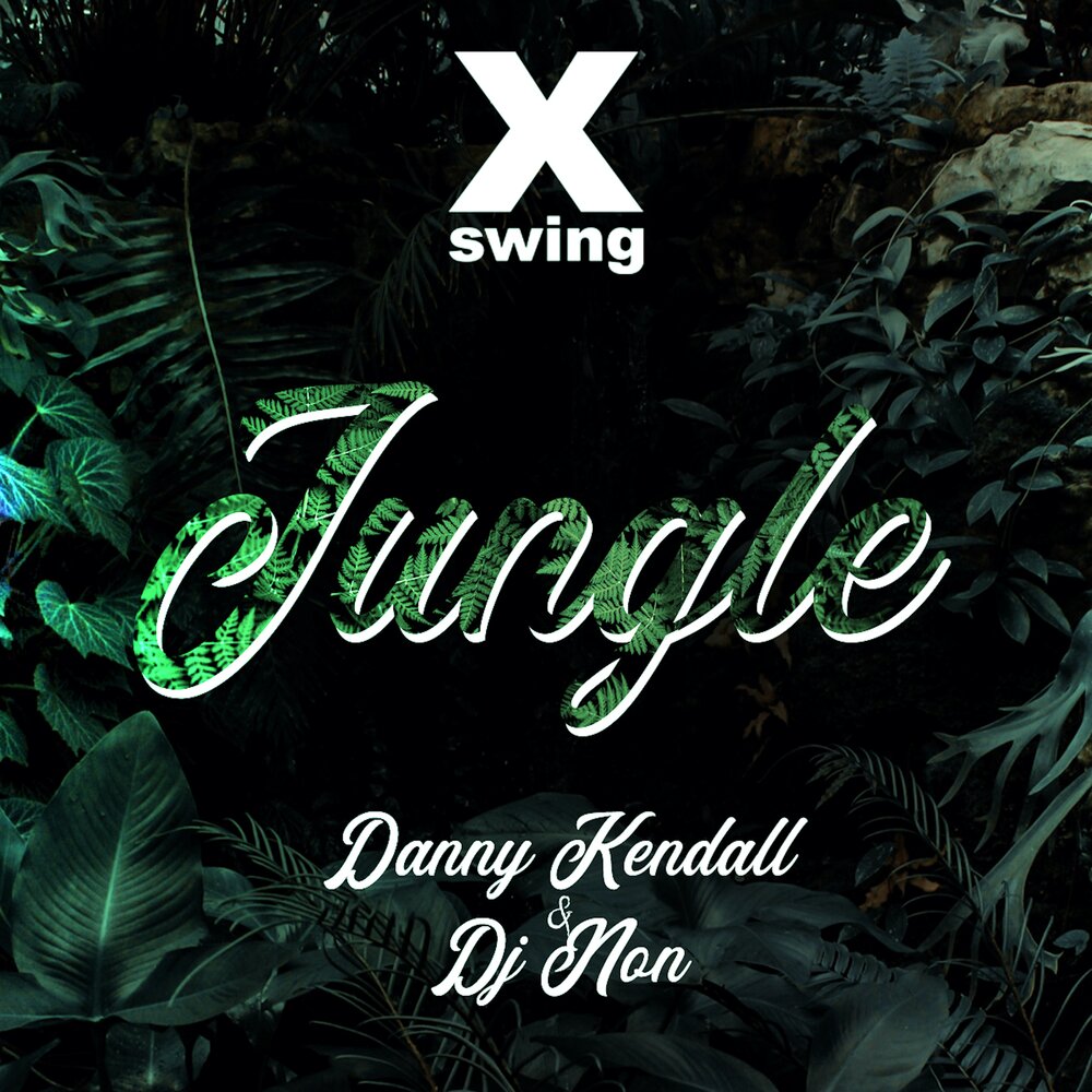 Jungle remix. Кендалл Джангл. Danny Jungle.