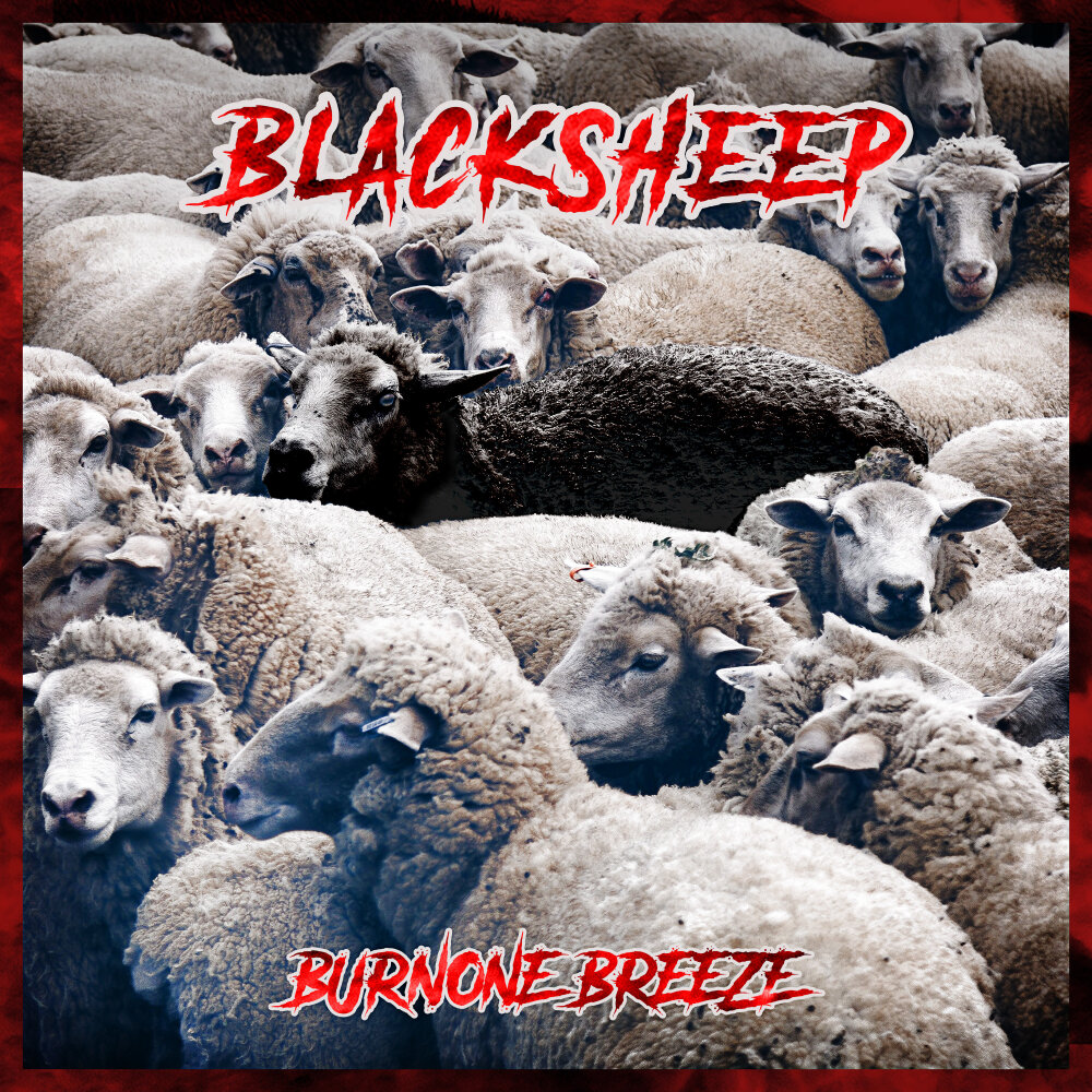 Sheep слушать. Black Sheep. Team Black Sheep. Black Sheep Apollo. Black Sheep Beer.