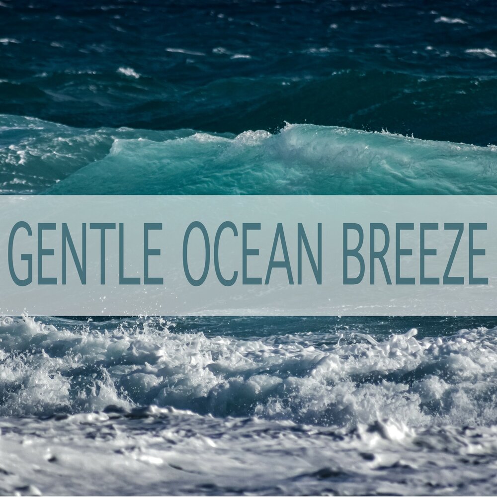 Ocean трек. Песни про океан. Ocean Breeze. Friend Ocean певец. Океан это я океан это ты песня слушать.