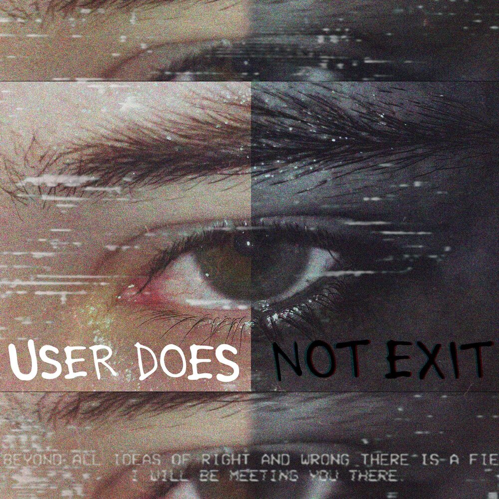 User does not exit