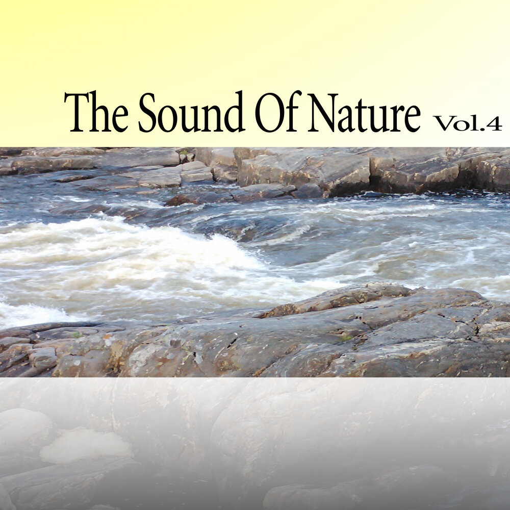 1. Nature volume 628 timothy. Natural vol 2. Natural vol 2. Relax music логотип.