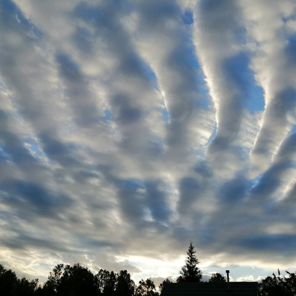 Cloud dancer. Музыкальные облака. Танец в облаках. Облака слушать.