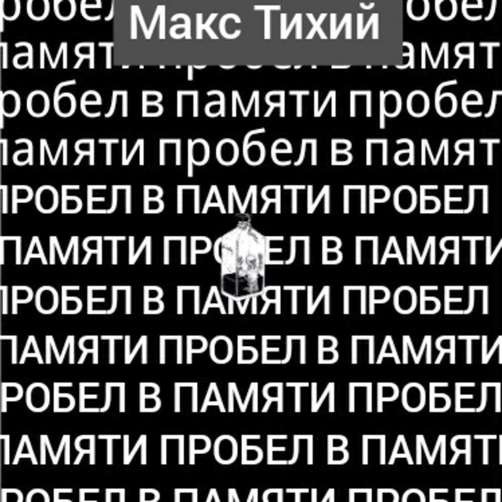 Памяти макса. Макс тихий. Макс тихий мысли. Тихая и Маха. Бесшумный Макс Википедия.