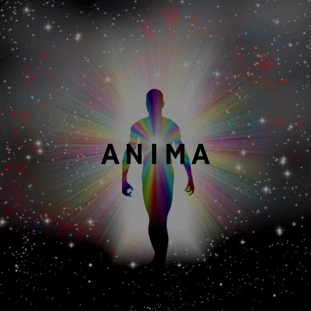 Anima 45