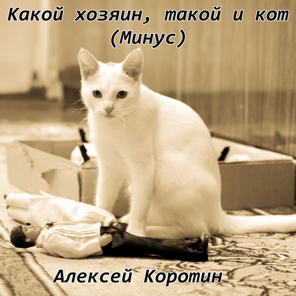 Какая хозяин. Минусы котов. Какой хозяин такой и кот. Какой хозяин такой. Минус кот.