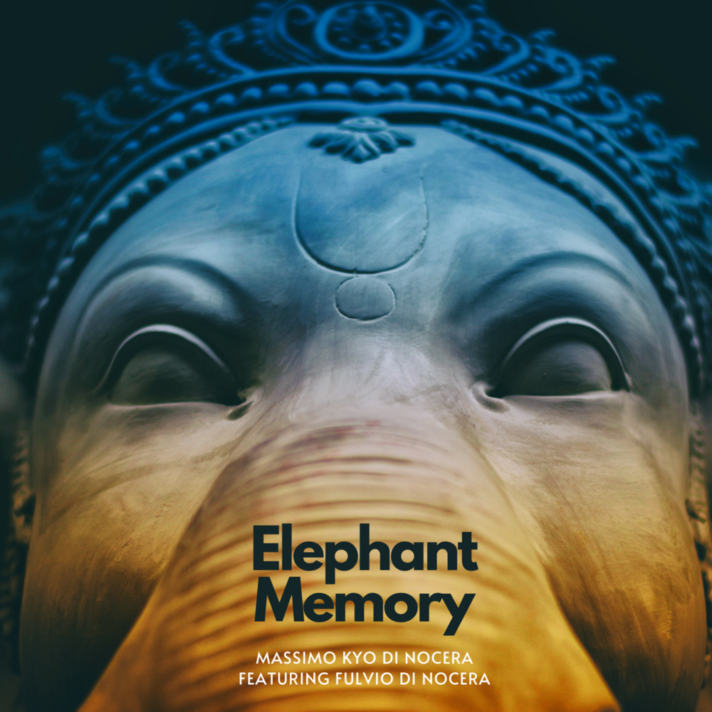 Elephant's memory