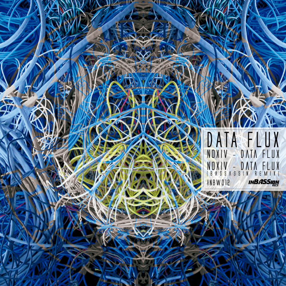 Data album. FLUXDATA. Juur Flux 2020. Flux.