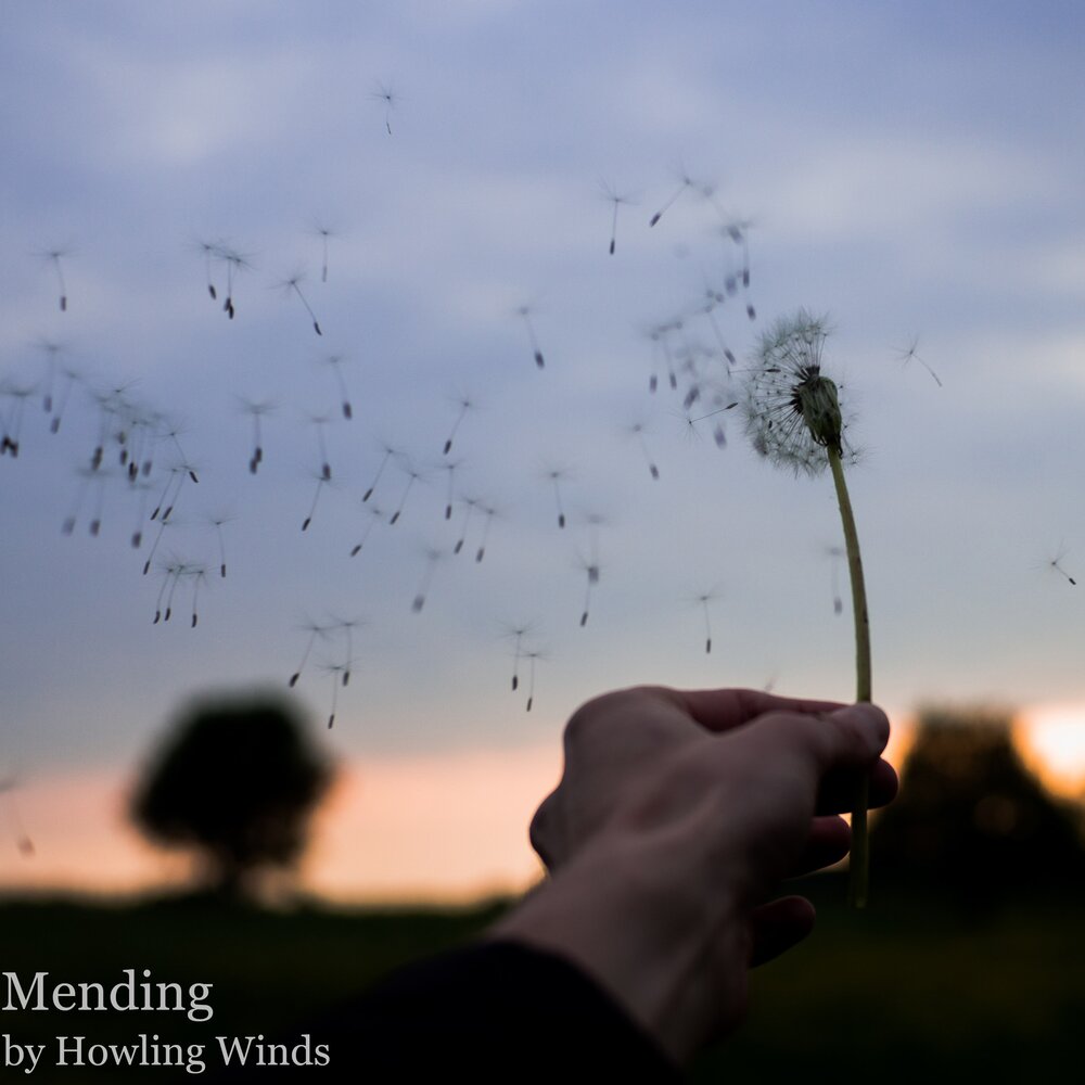 Low wind. Сильный ветер. Порывы ветра. Девушка и сильный ветер. Wind Sound.