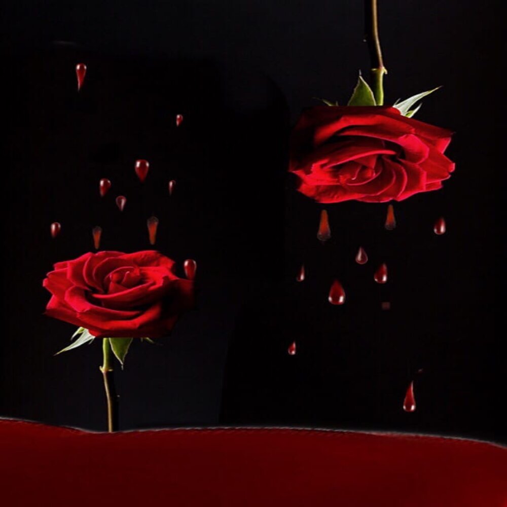 Темно алые розы а на душе лишь. Безответная любовь цветы. Билборды Алые цветы.