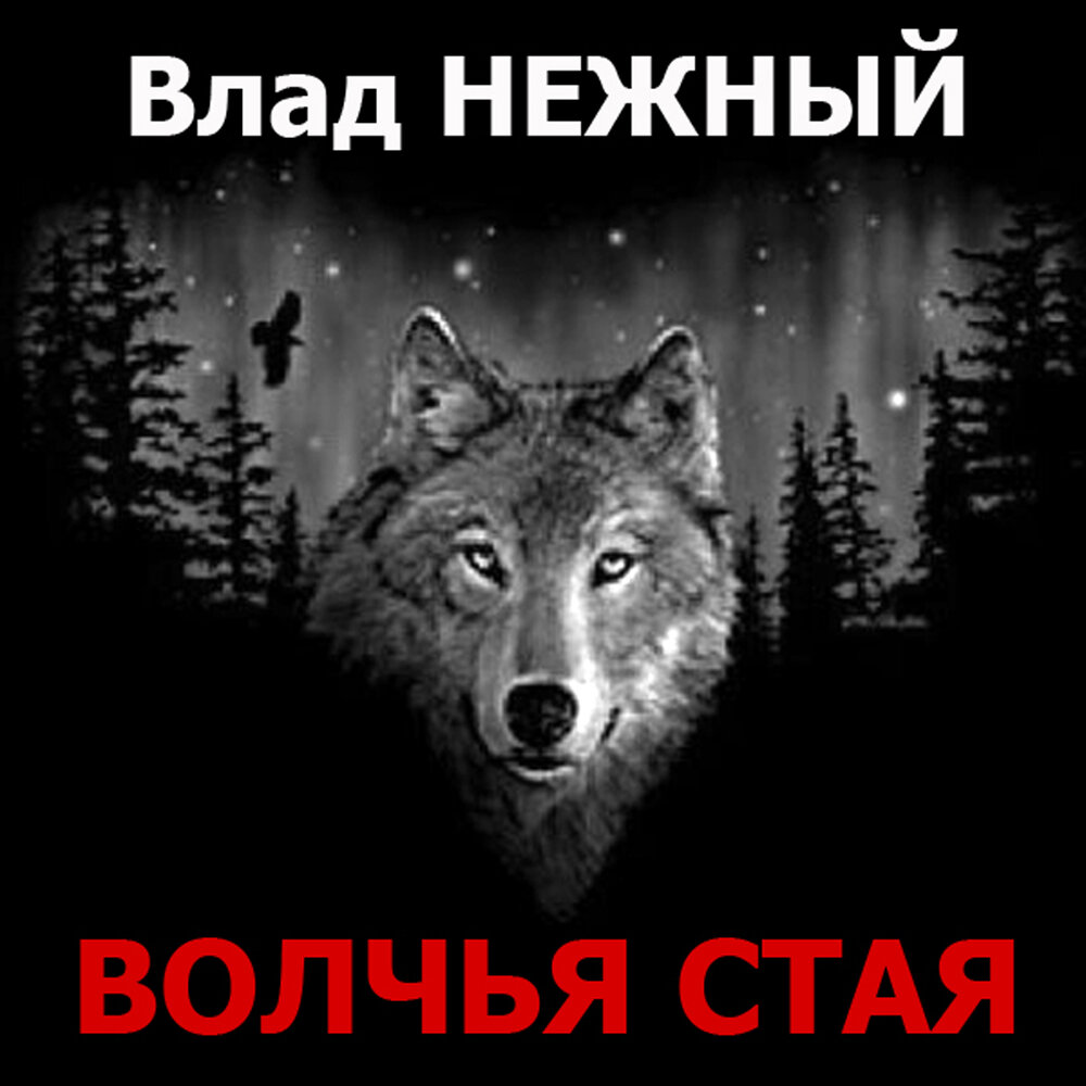 Серый волк слушать. Одинокий волк Влад. Стая Волков с надписью. Волчья стая надпись. Волчья стая (2015).