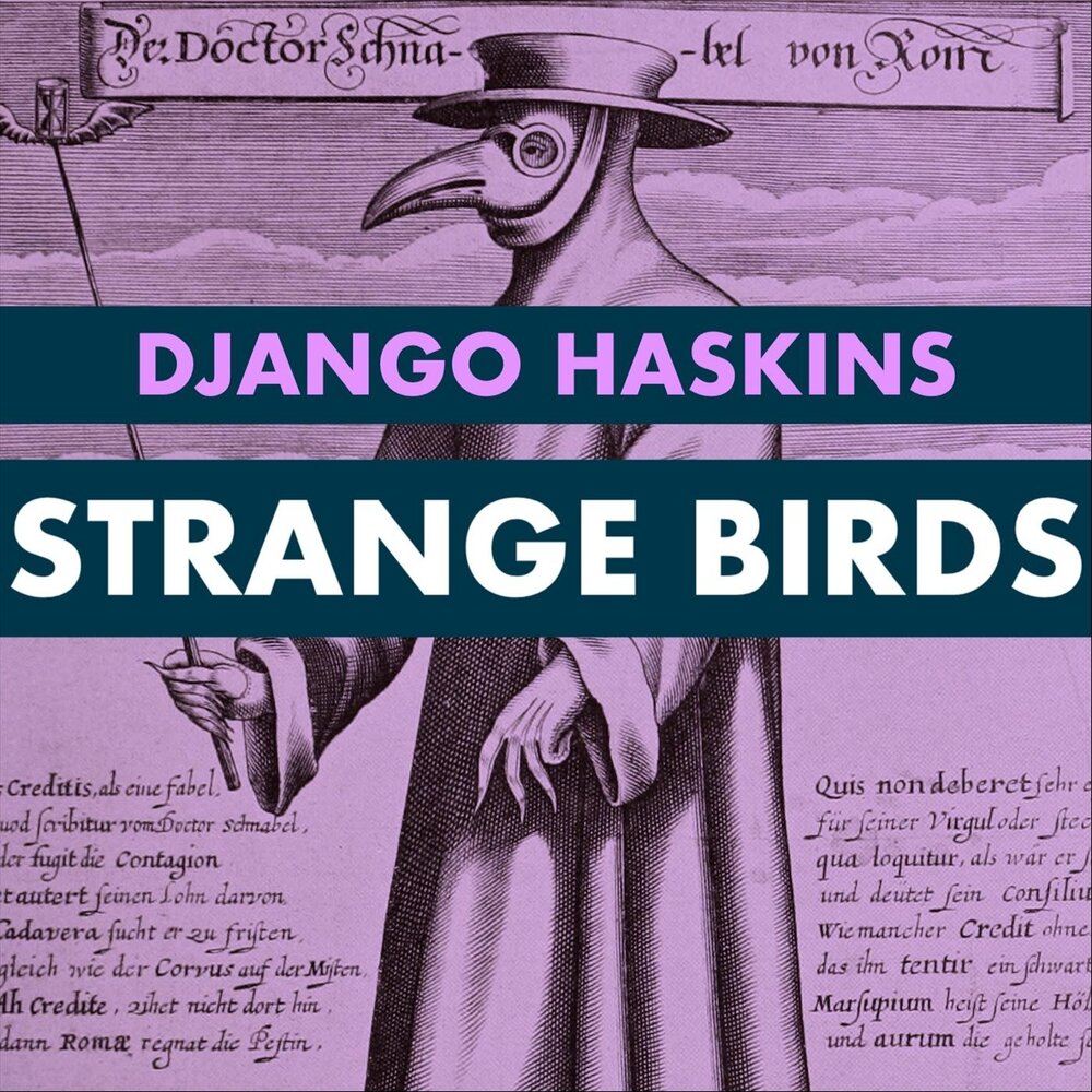 Strange birds birdy. Birdy обложки альбомов. Strange birds birdy. Strange birds birdy. Strange birds birdy.