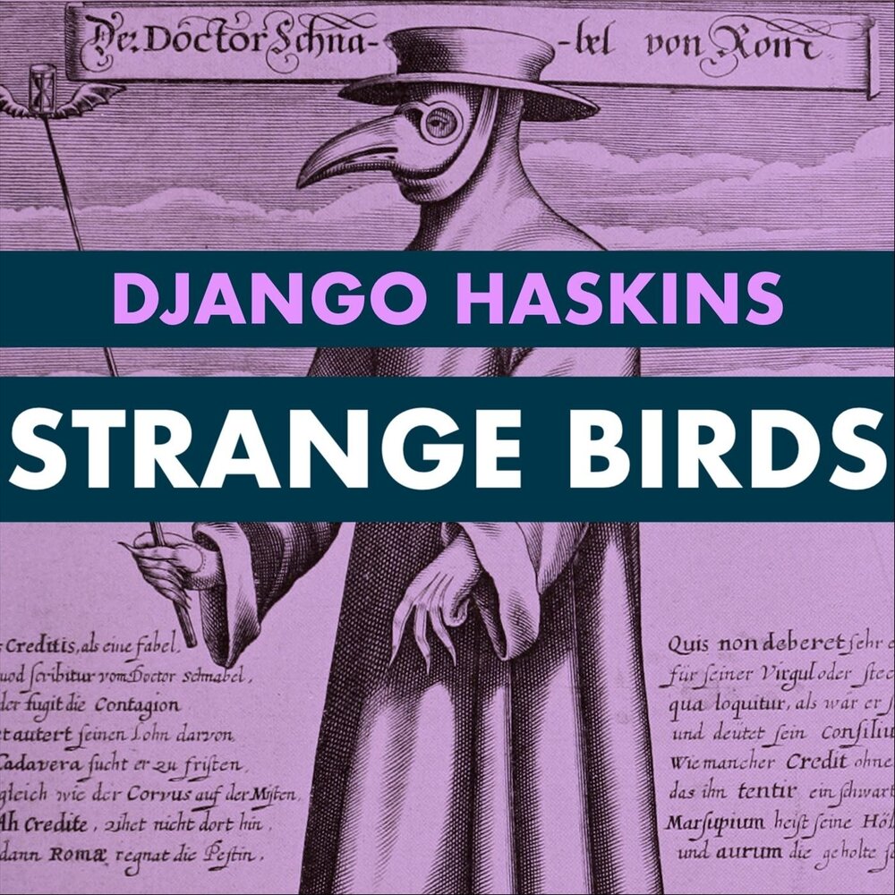 Stranger Birds. Strange Birds текст. Strange Birds Birdy. Ноты Birdy Strange Birds.