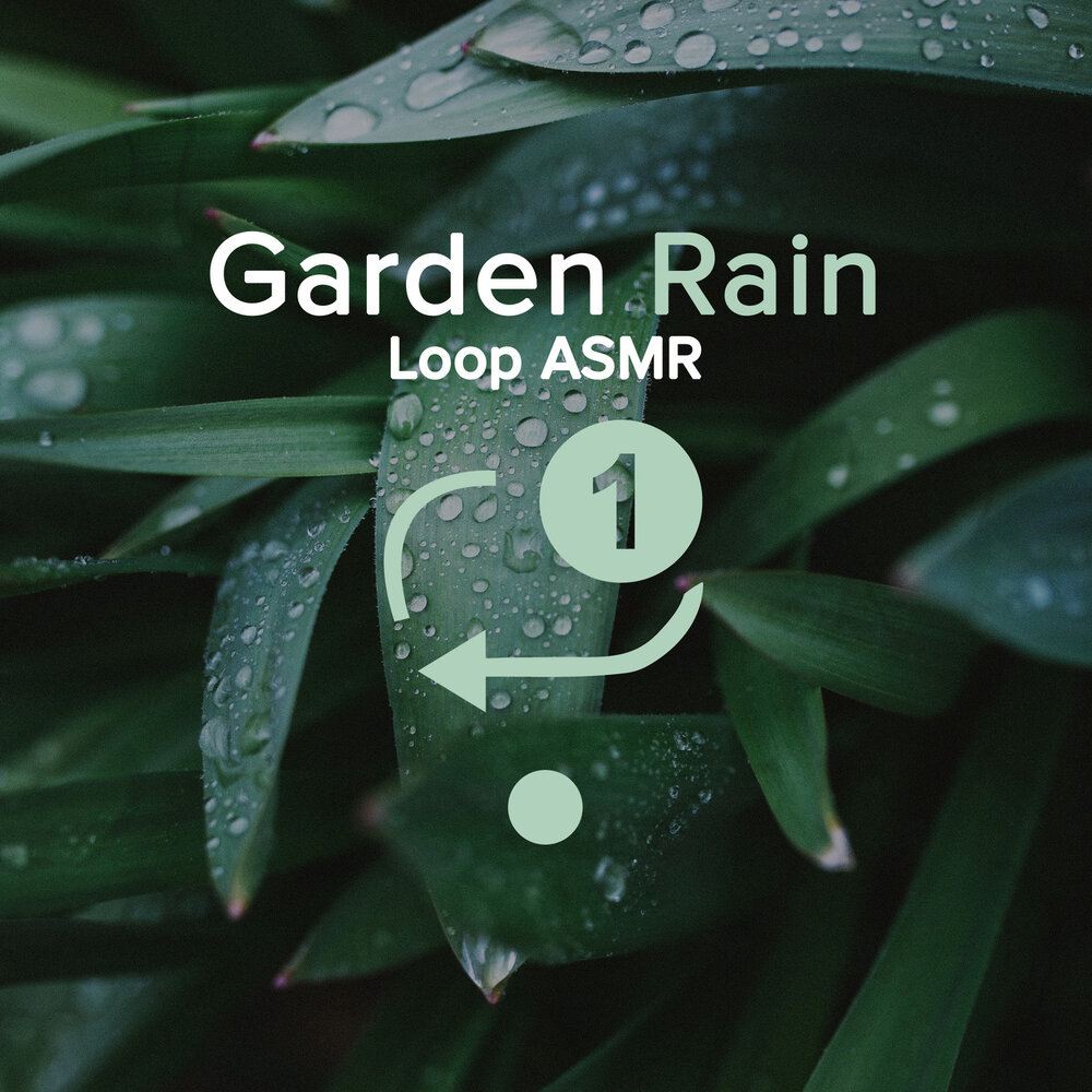 Loop with ASMR Sound. Rain best present