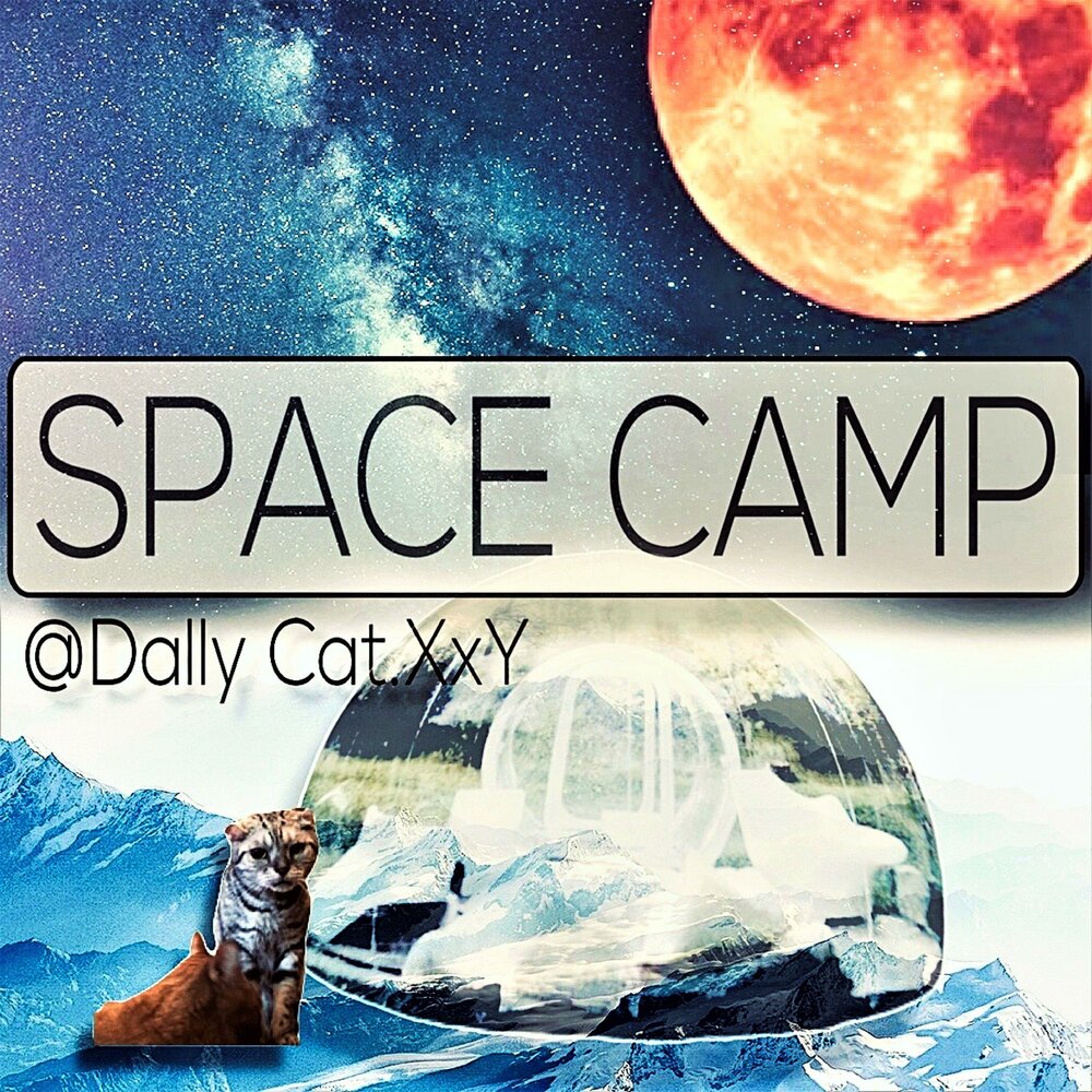 Space camp. Спейс Кемп Армении.