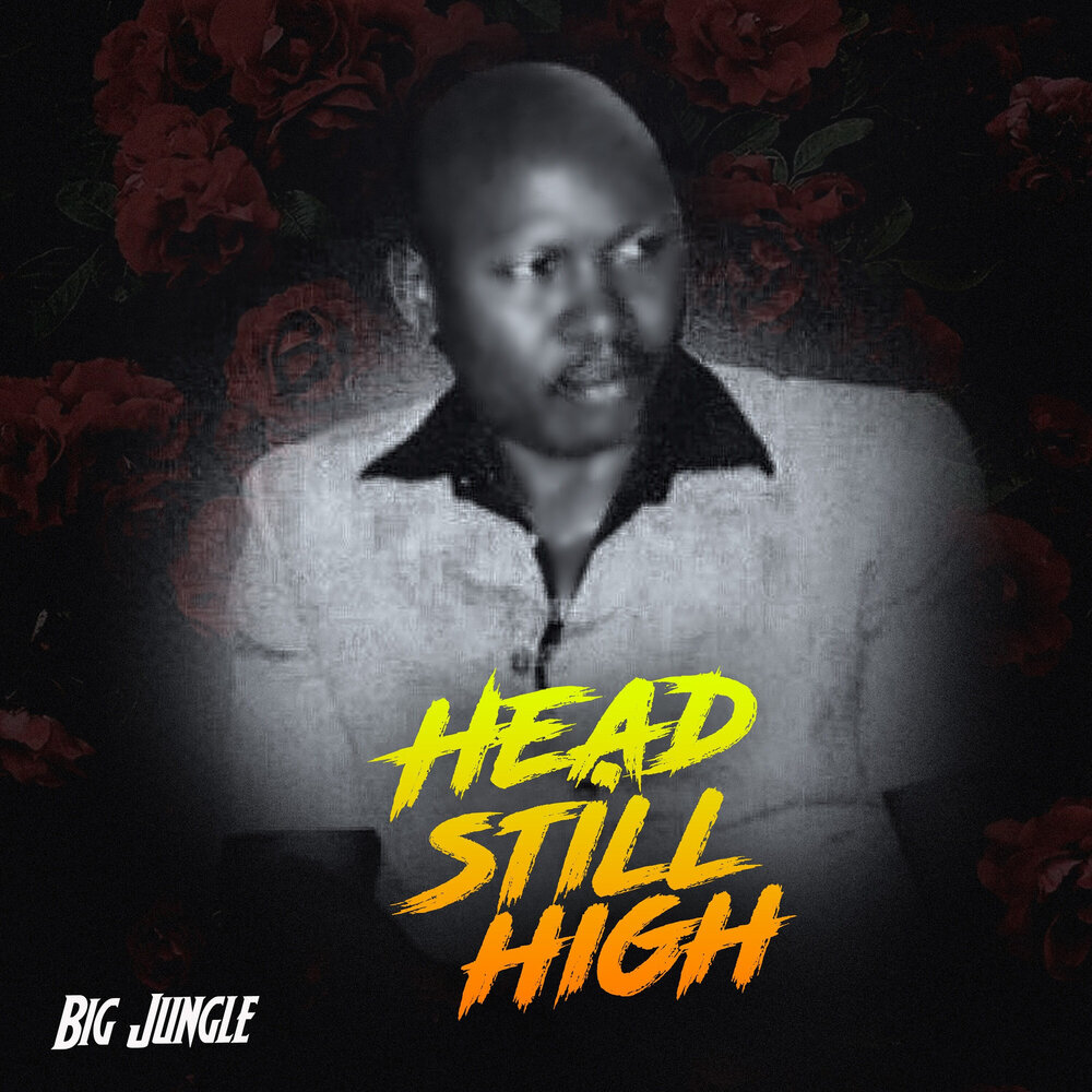 Audio cd. активити бук пигги. Big big jungle. Big jungle fun 2. Jungle fun.