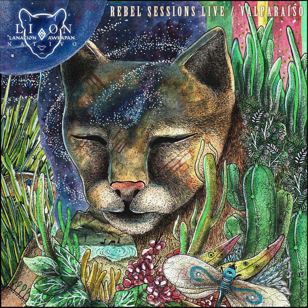track-cover