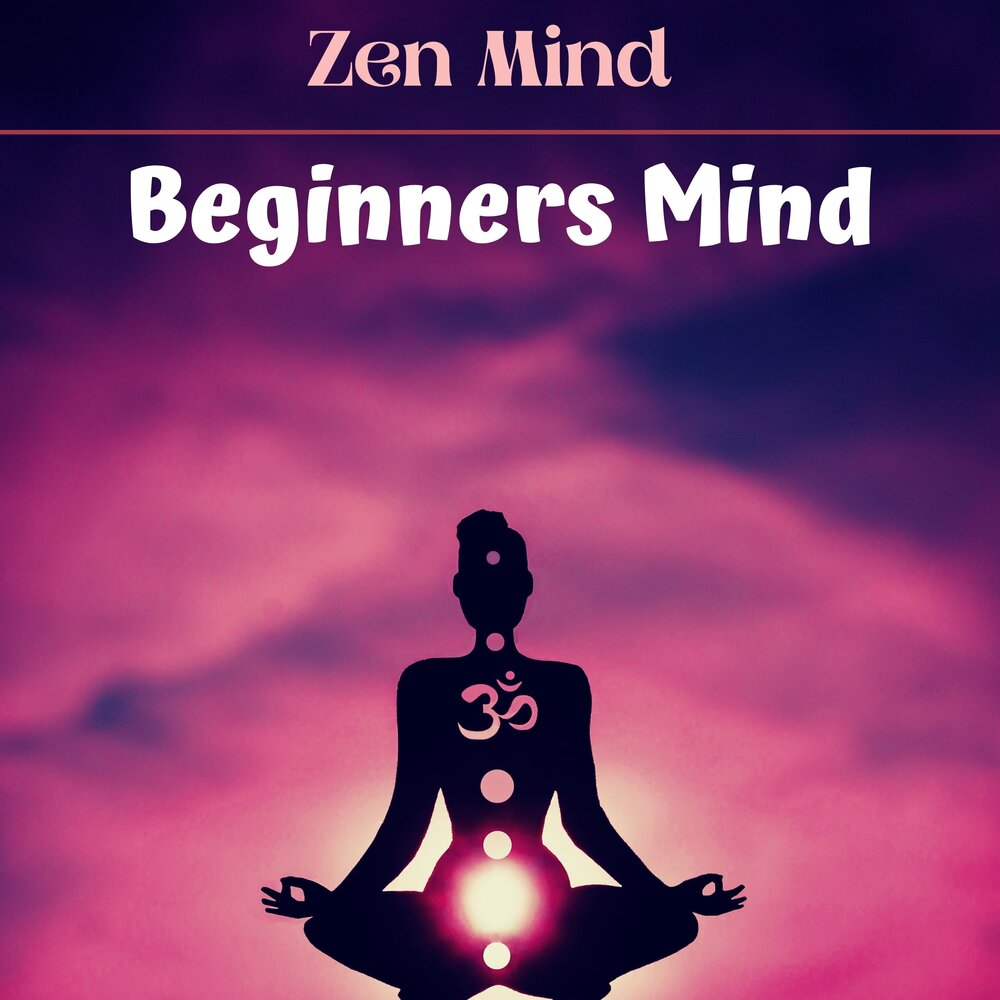 Конспирология дзен. Mind Zen. Zen Mind, Beginner's Mind. Open Mind Beginner. Enlightenment Monkey Mind Beginners Mind.