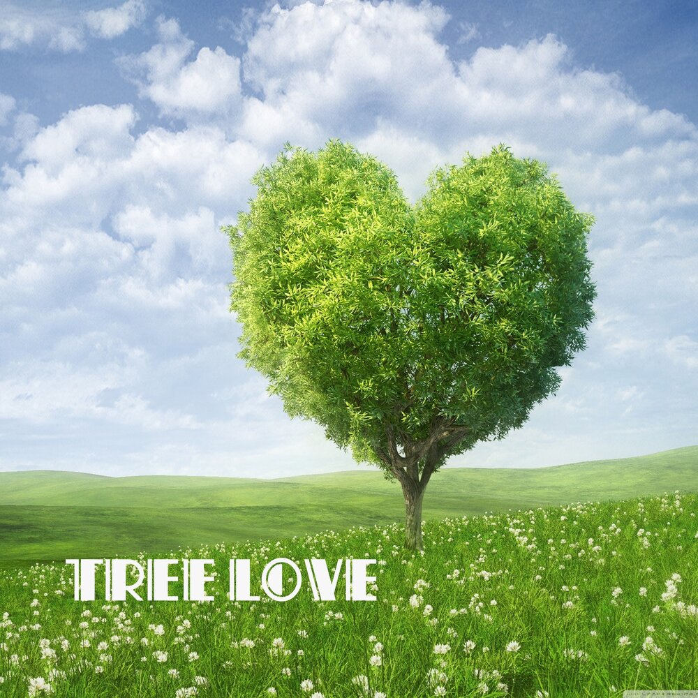 Включи tree. Включи дерево. Любовь деревья Крылья.