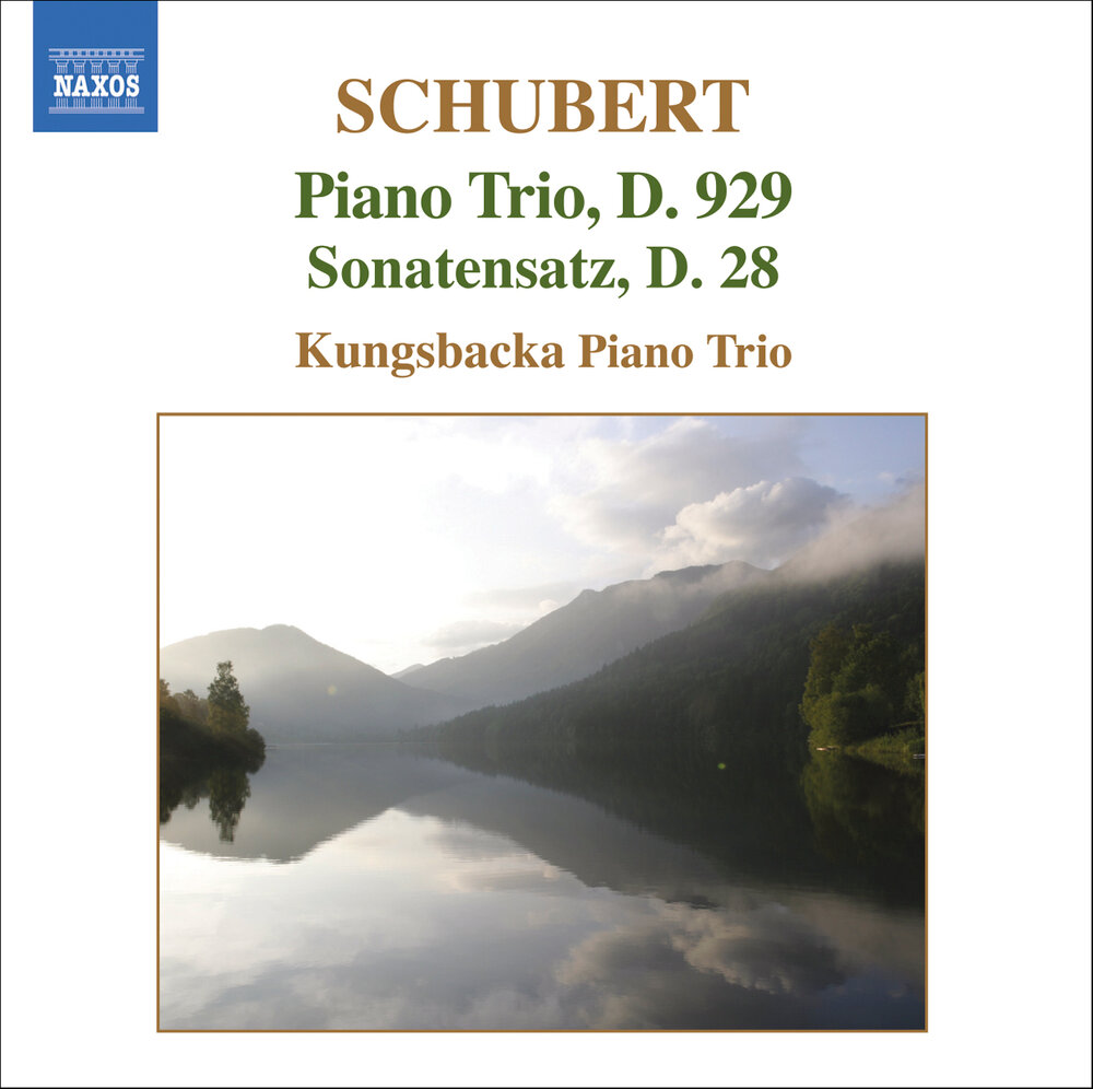 Piano trio in e-flat major. Franz schubert - piano trio in e-flat. Schubert piano trio. Piano trio no. шуберт trio op100.