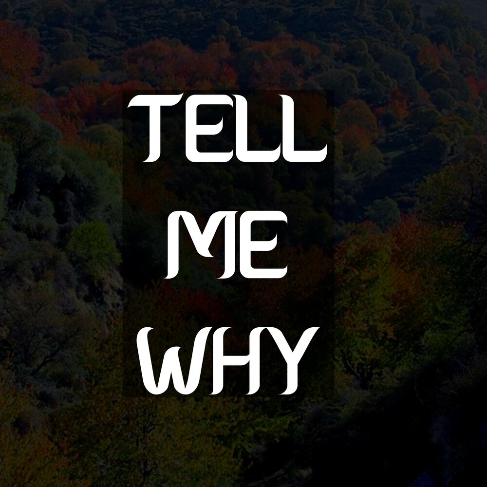 Tell me why see are we. Tell me why?.