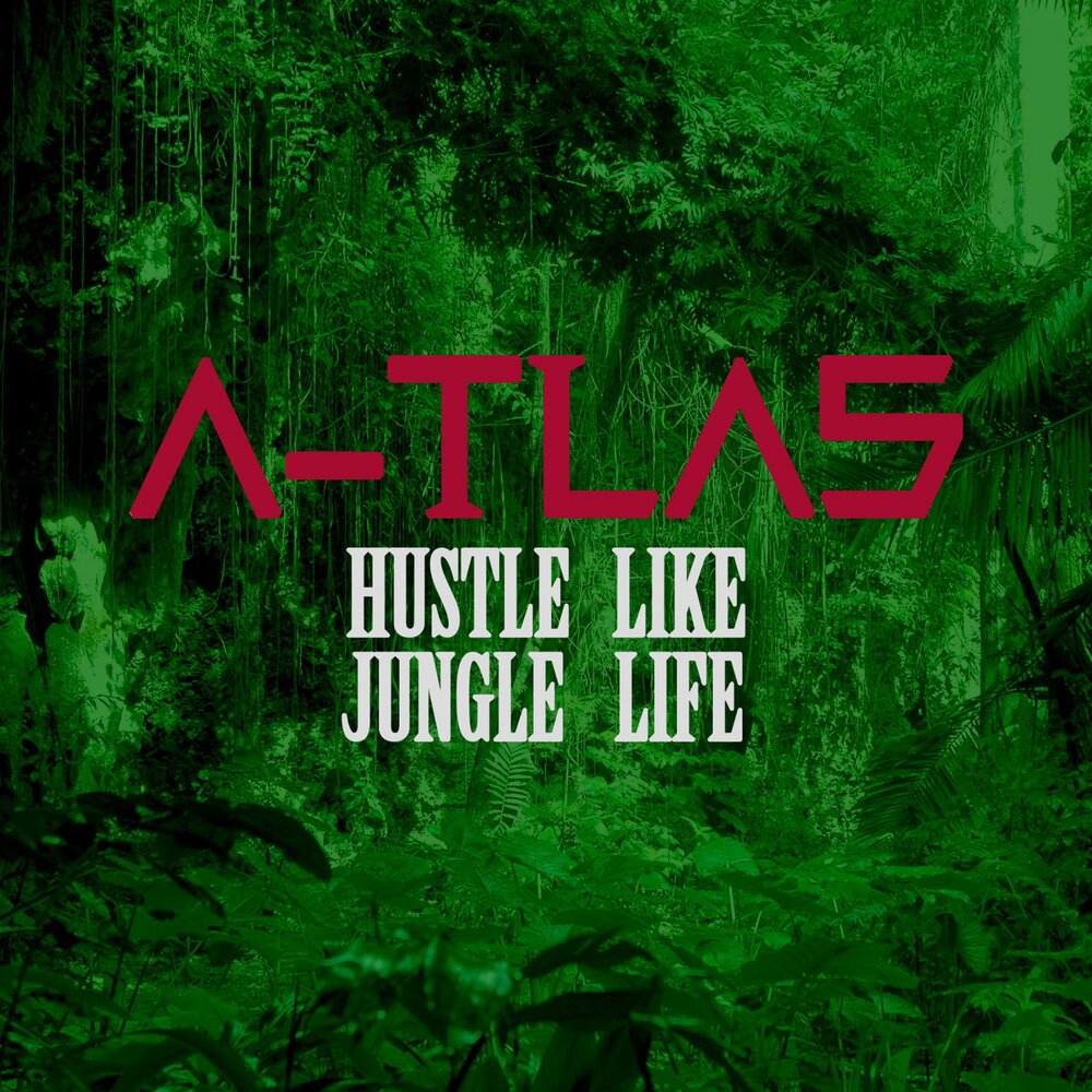 Likes jungle