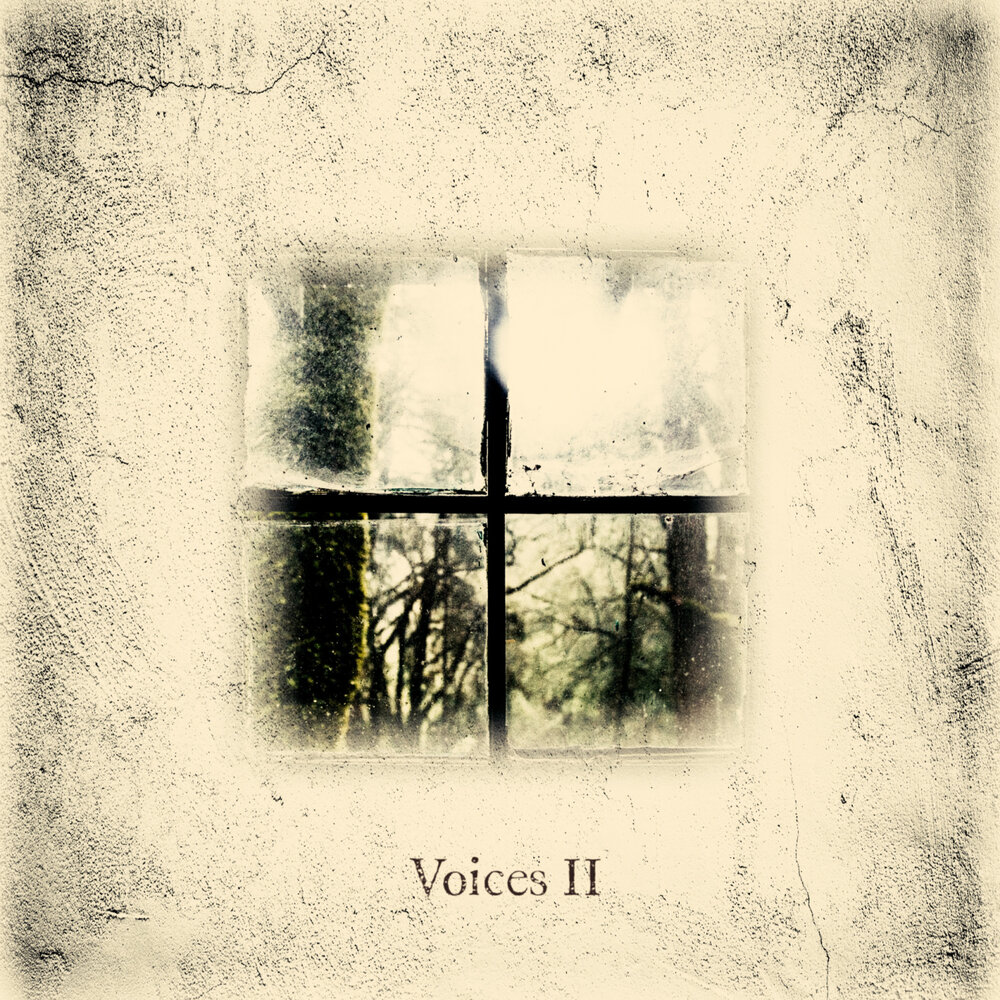 Voice album