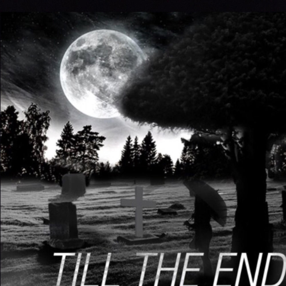 Till the end оригинал. На песню till the end.. Till the end 2. Till the end of the Moon новелла. Бай Лу till the end of the Moon.