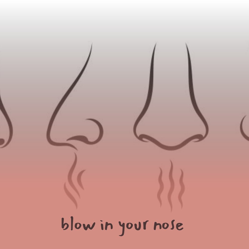 Text noses