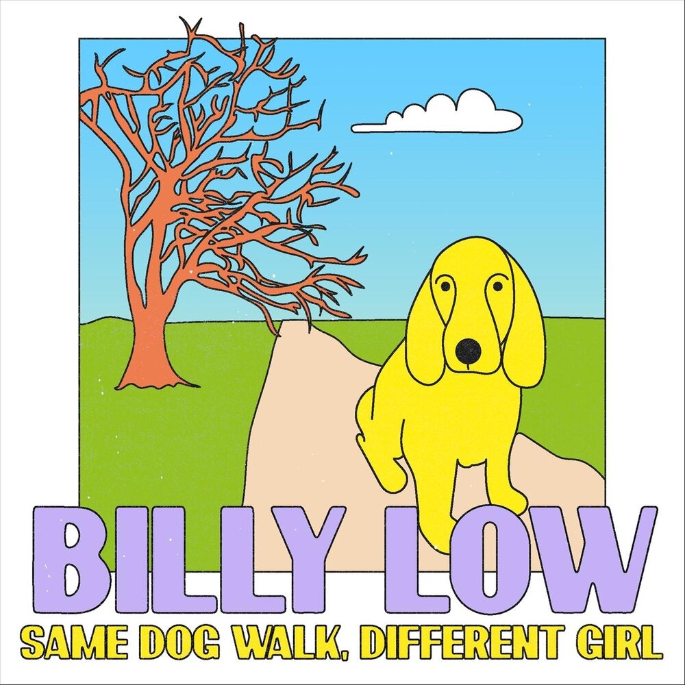 Это булка из приюта социальная реклама фото. Служебные собаки на службе. Same dog. Same dog. Same dog.