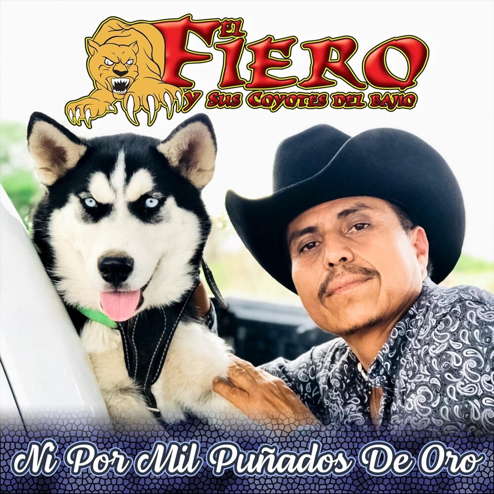 Corrido de Guadalupe Olivo El Fiero y Sus Coyotes del Bajio слушать онлайн ...
