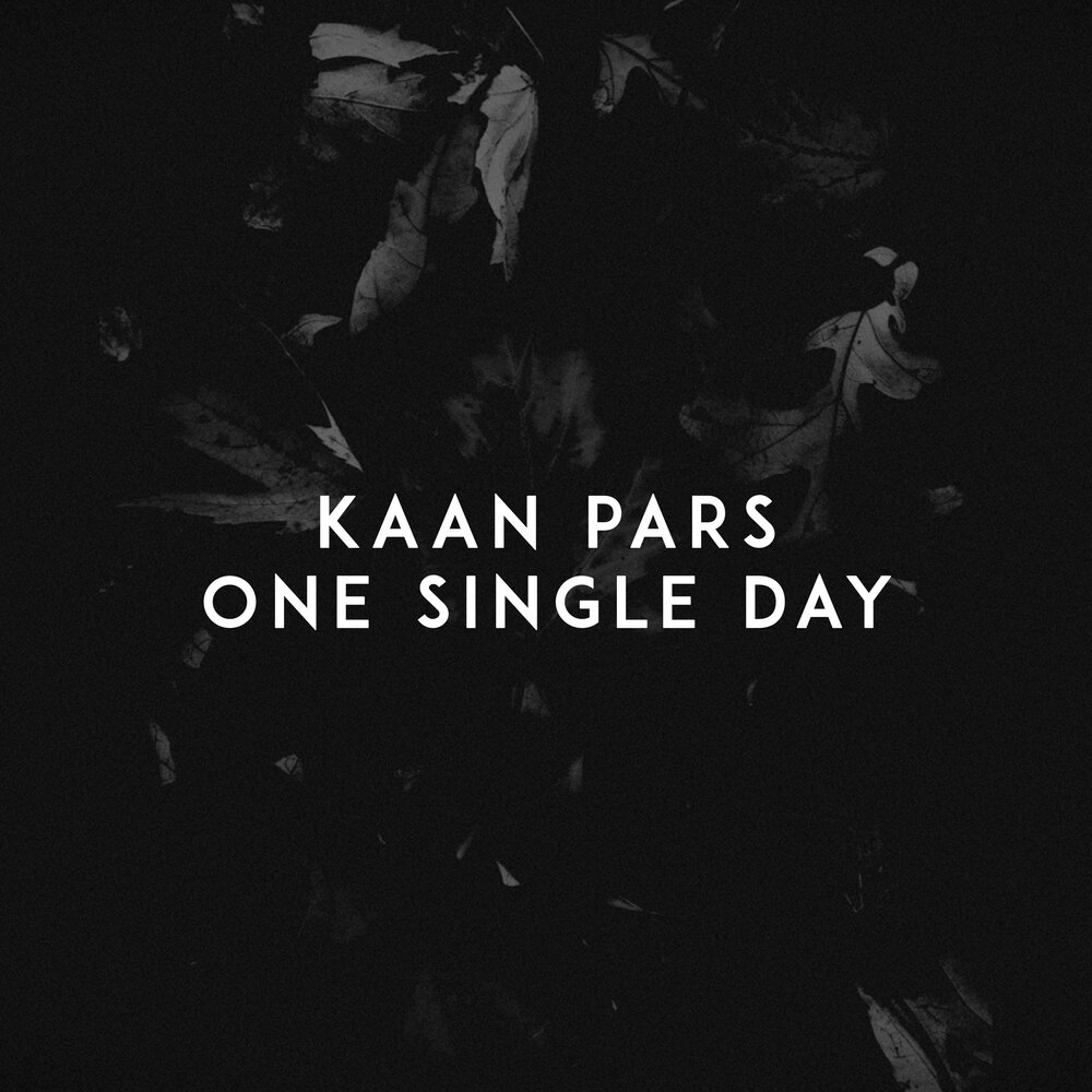 Kaan pars flow. Kaan pars one single day. single day ремикс. kaan pars light. kaan pars inspiration.