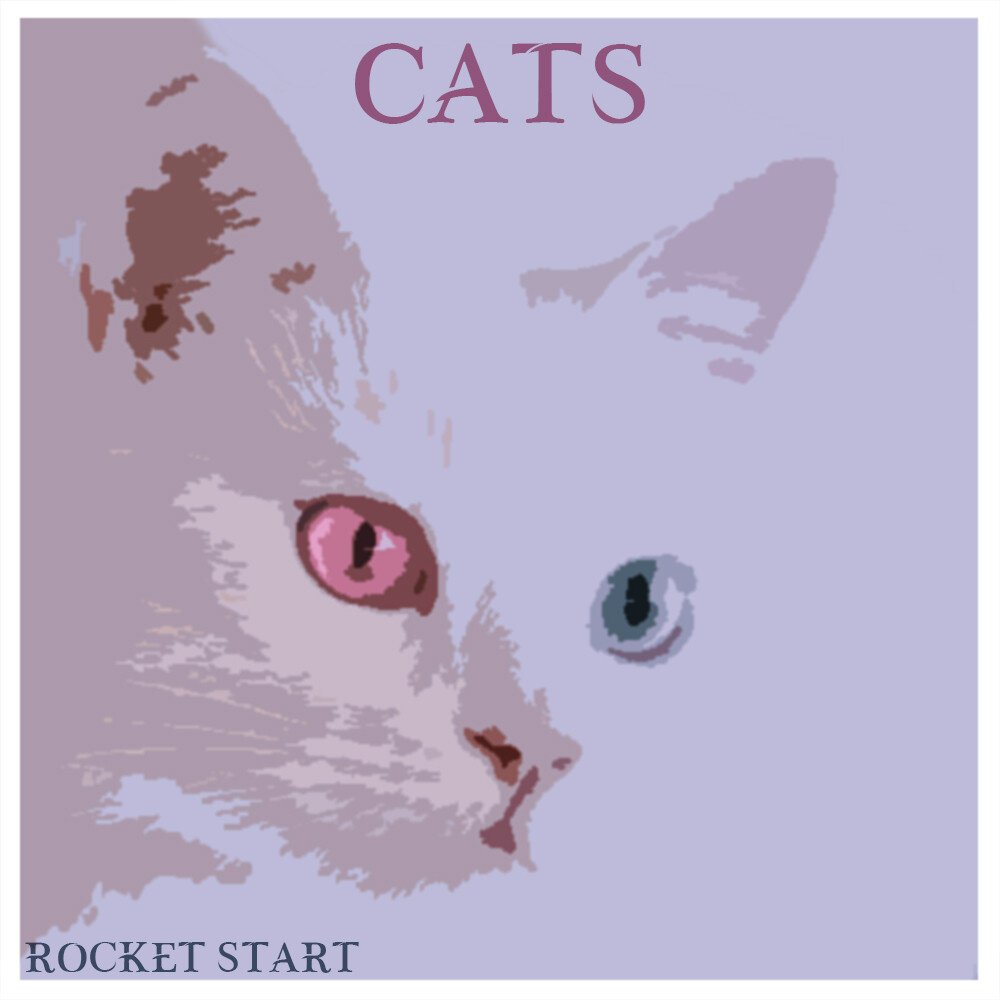 Cat start. Альбом кошка. Кошка на старте. Тематический альбом кошки. Рокет Кэт.