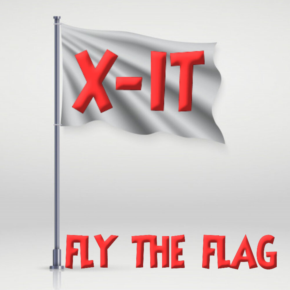 Flew Flag. Флаги x86. Flag Flying. Possible written in Flag.