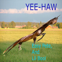 artist-cover