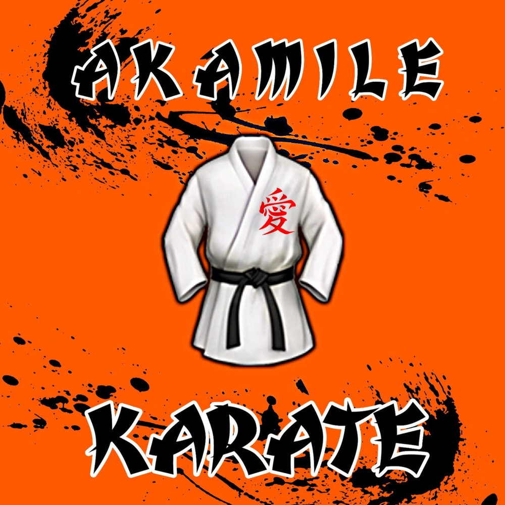 Гимн каратэ. Мастер востока фильм. Сценки карате. Песня карате. Каратэ тройка.